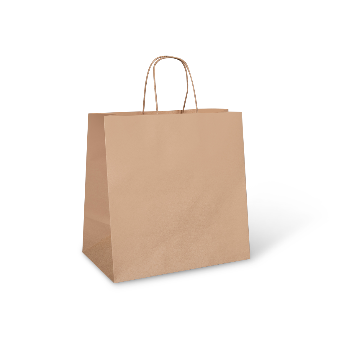 Handled Brown Paper Bag Medium 250 Pack - Gompels - Care & Nursery Supply  Specialists